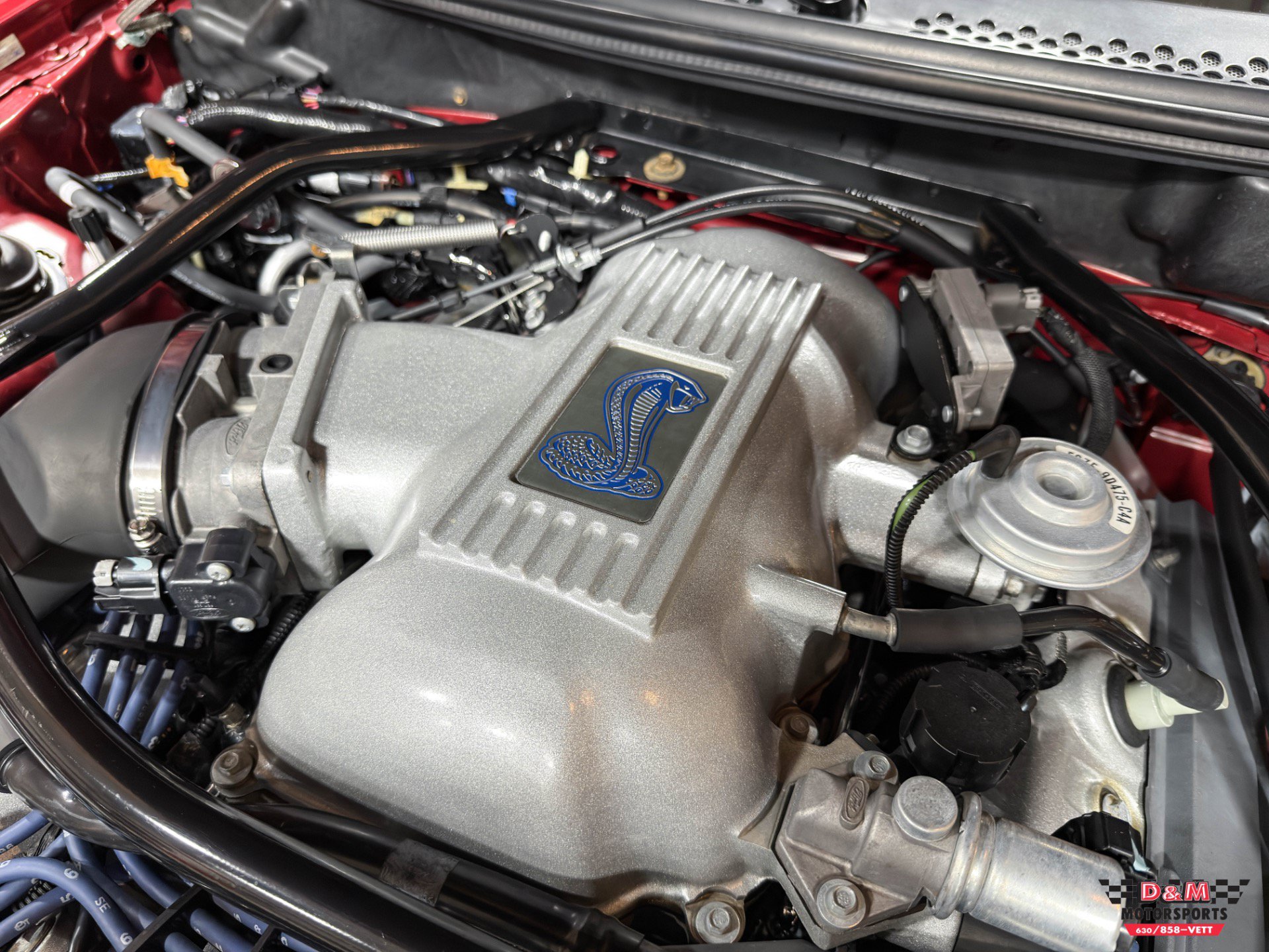 Used 1996 Ford Mustang Cobra RWD image 11