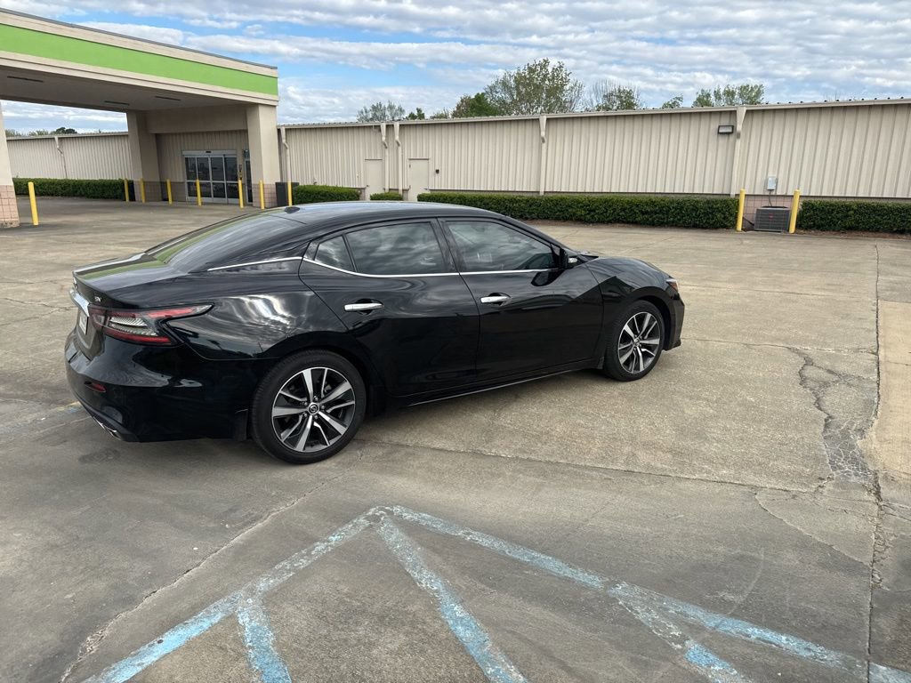 Used 2019 Nissan Maxima 3.5 SV w/ Floor Mat Group image 11