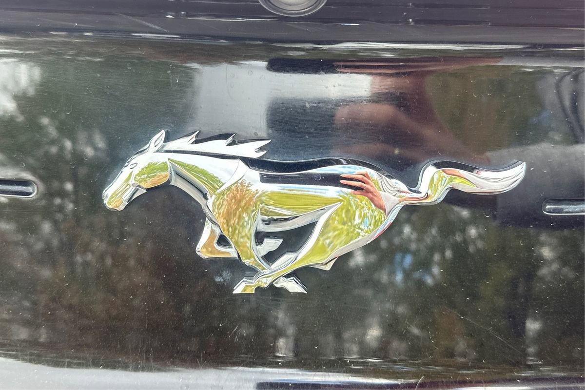 Used 2018 Ford Mustang Coupe image 23