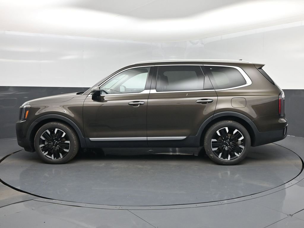 Used 2023 Kia Telluride SX Prestige image 10