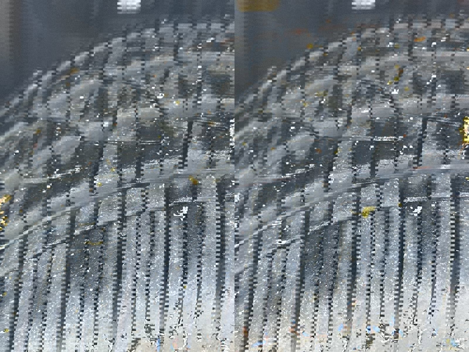 Used 2022 Chevrolet Colorado LT w/ Fleet Safety Package image 12