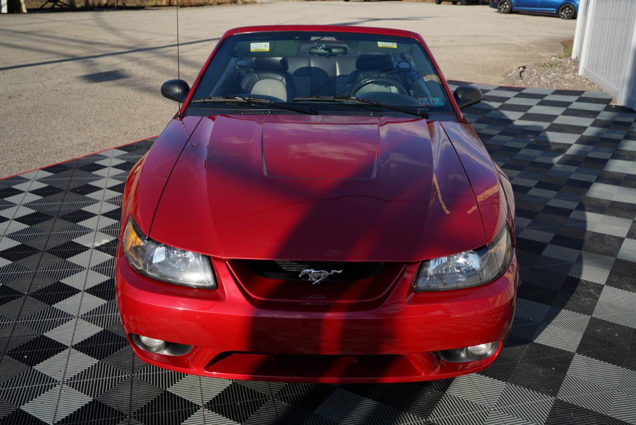 Used 2001 Ford Mustang Cobra image 14