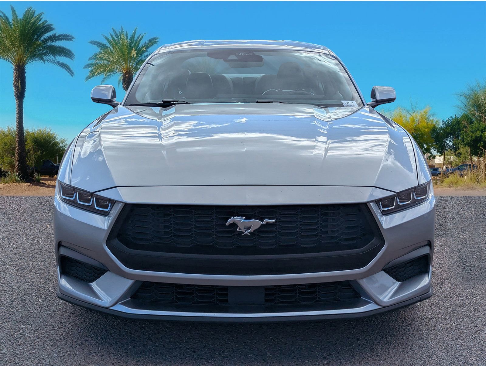 Certified 2024 Ford Mustang Premium image 8