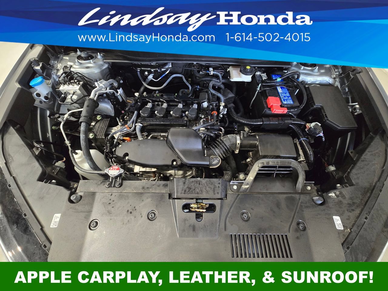 Used 2025 Honda CR-V EX-L image 24