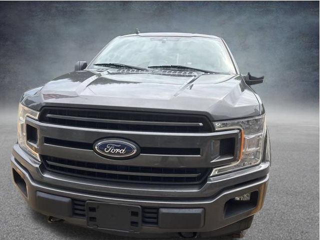Used 2020 Ford F150 XLT w/ Equipment Group 302A Luxury AWD/4WD image 3