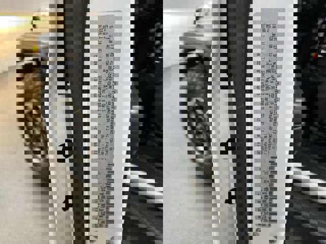 Used 2021 Jeep Wrangler Sport image 32