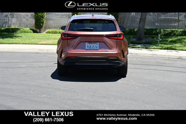 Certified 2025 Lexus NX 350 AWD w/ Cold Area Package image 5