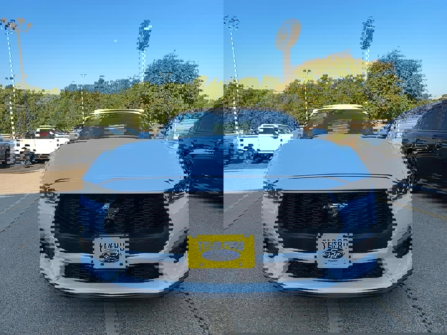 Used 2024 Ford Mustang Premium image 3