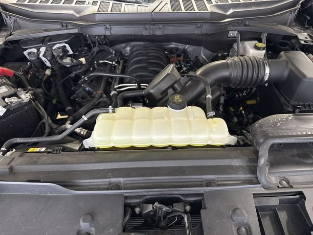Used 2025 Ford F150 XLT w/ Equipment Group 301A Standard AWD/4WD image 26