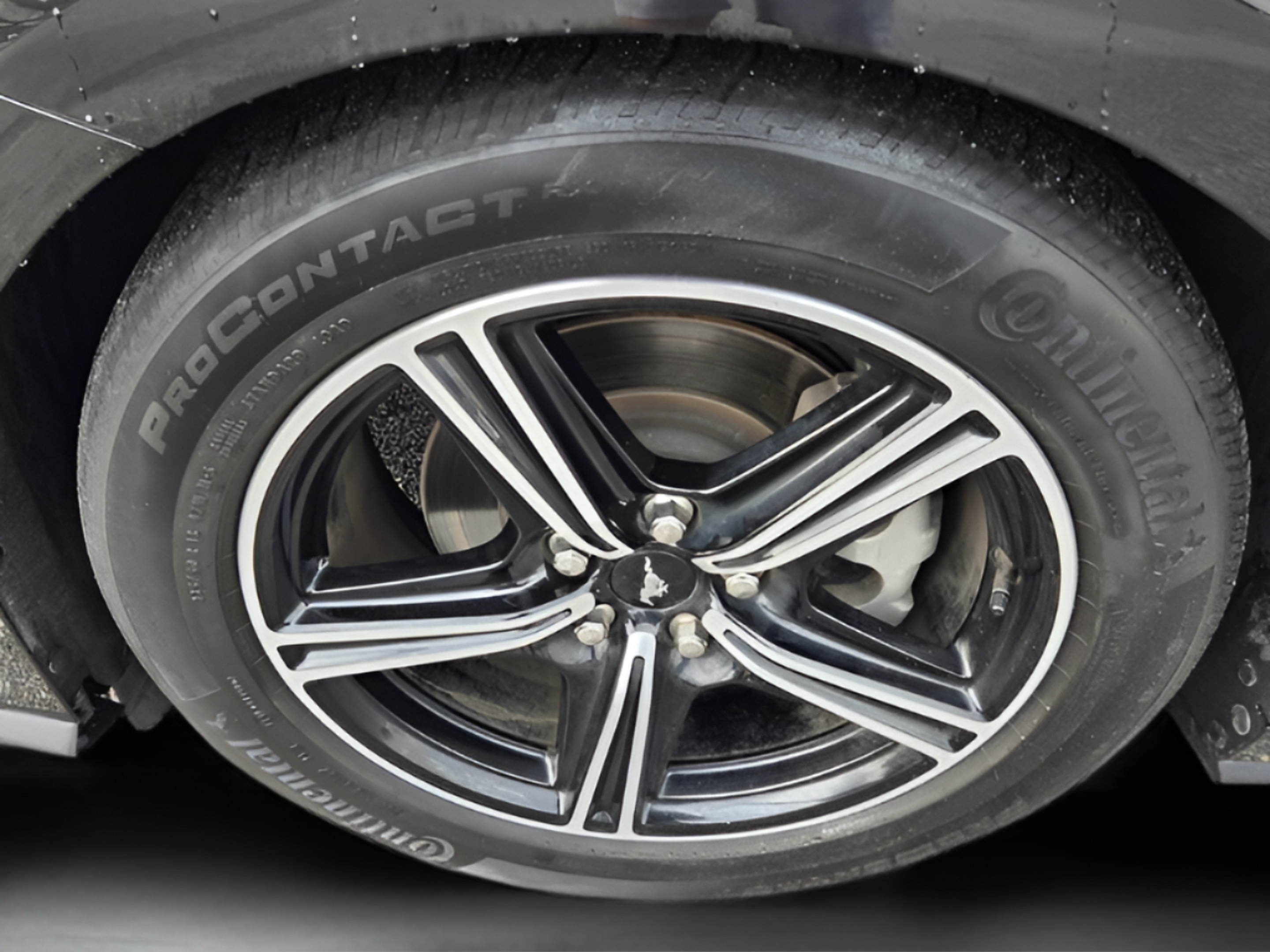 Used 2024 Ford Mustang Premium RWD image 29