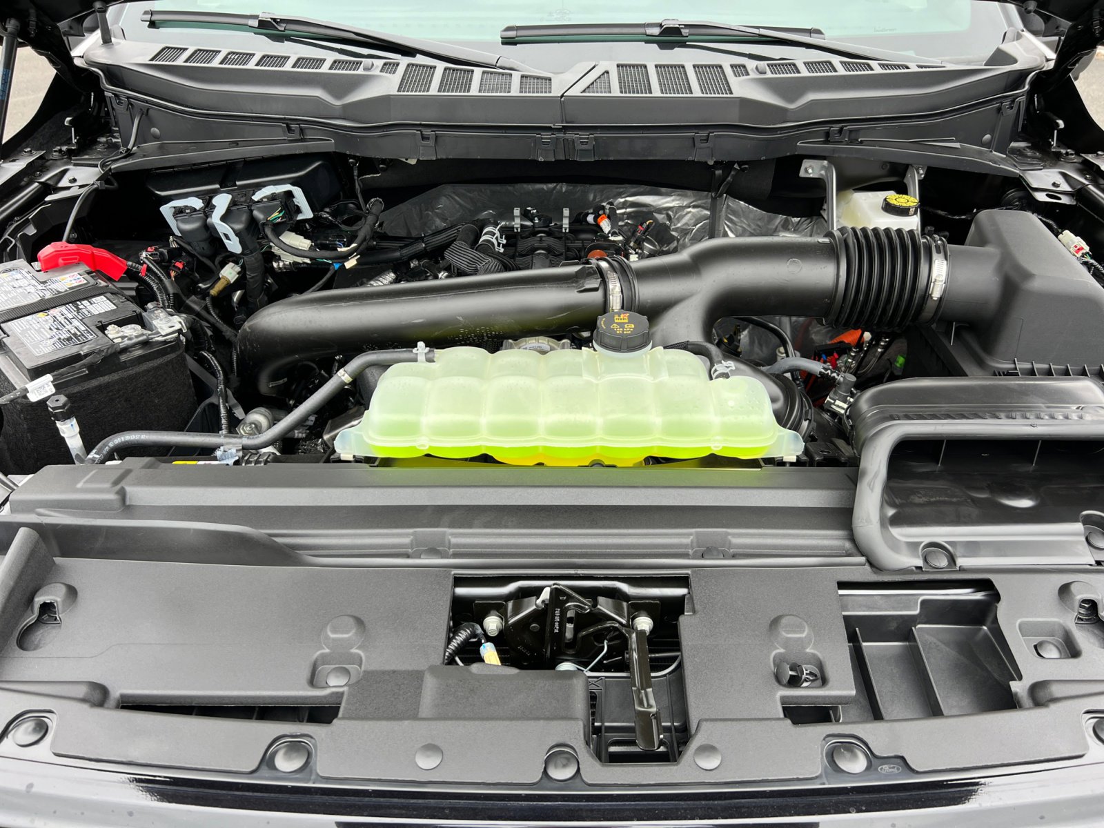 New 2025 Ford F150 XLT w/ Equipment Group 302A MID image 20