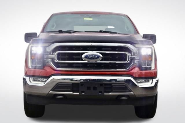Used 2021 Ford F150 XLT w/ Equipment Group 302A High image 4