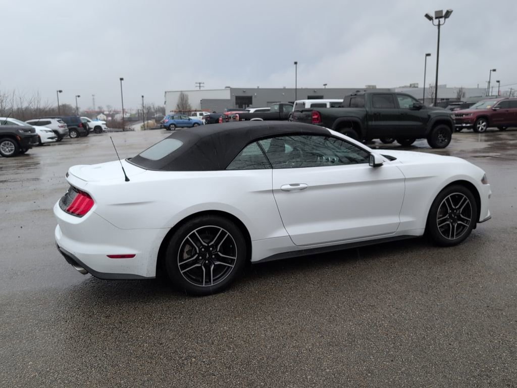 Used 2018 Ford Mustang Premium w/ Equipment Group 201A image 5