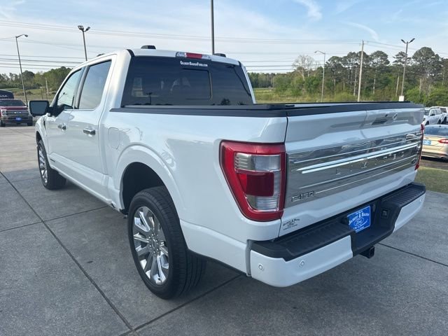 Used 2023 Ford F150 Limited image 5