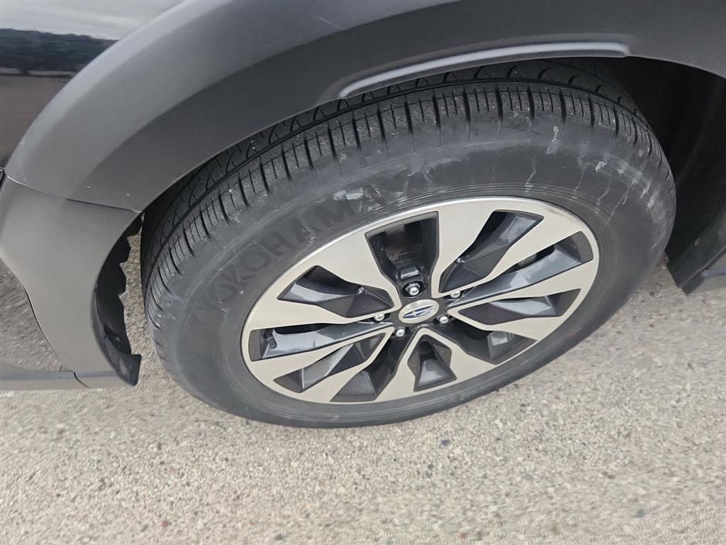 Used 2023 Subaru Outback Limited image 7