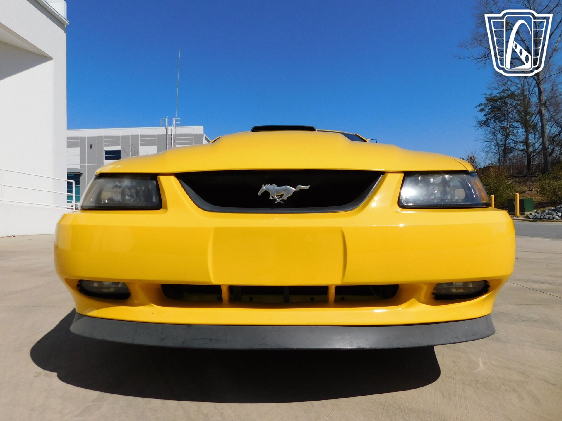 Used 2004 Ford Mustang Mach 1 RWD image 3