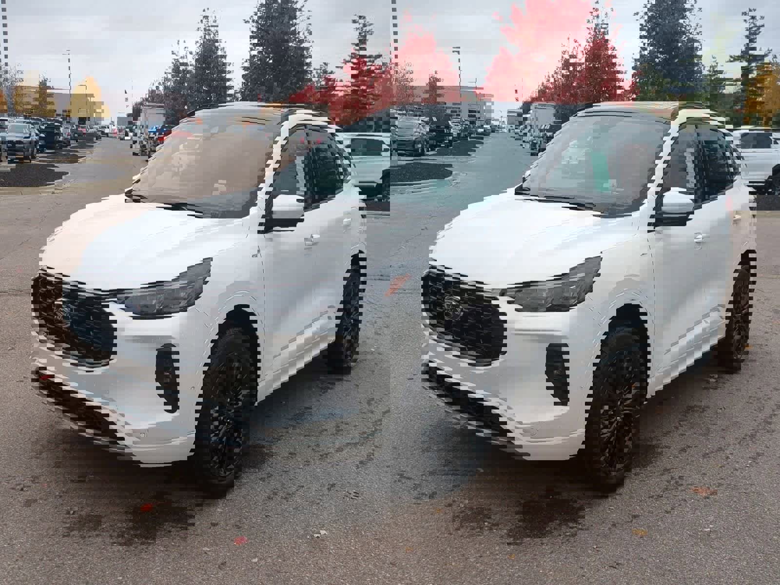 Used 2024 Ford Escape ST-Line Elite w/ Premium Technology Package image 4