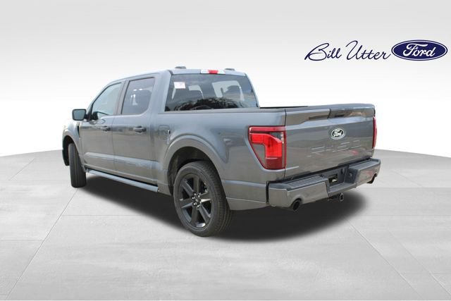 New 2025 Ford F150 STX w/ LOBO Package image 4