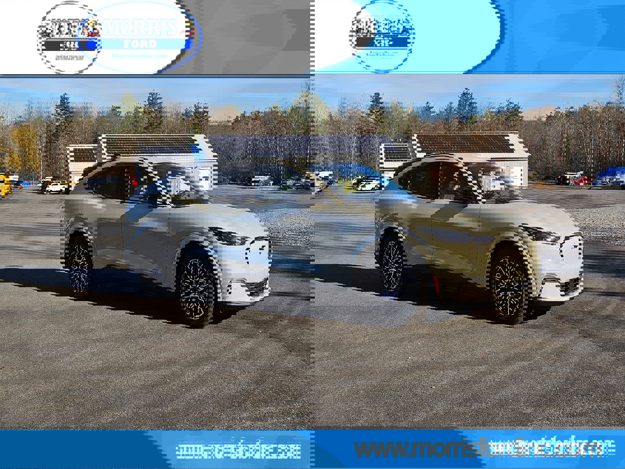 New 2025 Ford Mustang Mach-E Premium