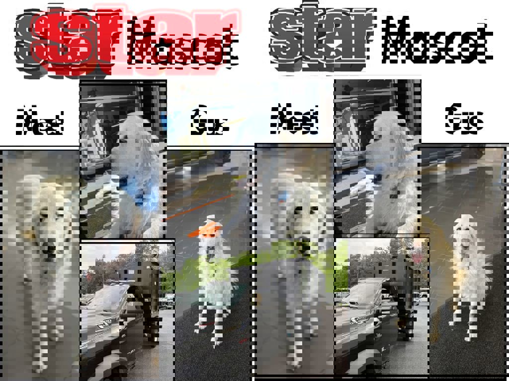 New 2026 GMC Sierra 1500 Elevation w/ Preferred Package image 21