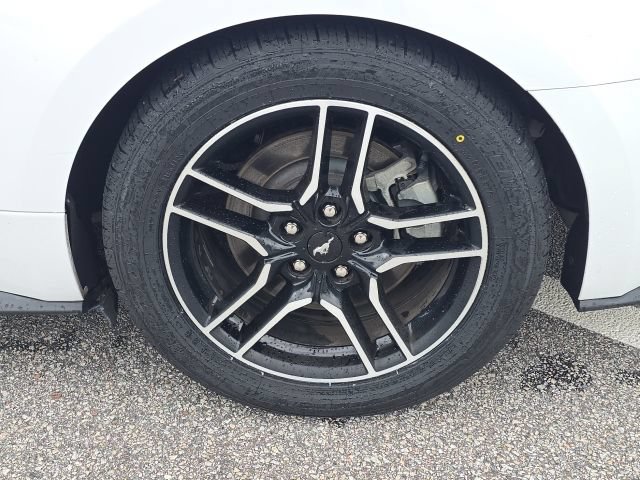 Used 2021 Ford Mustang GT Premium w/ Equipment Group 401A RWD image 10