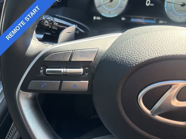 Used 2025 Hyundai Palisade Calligraphy AWD/4WD image 13