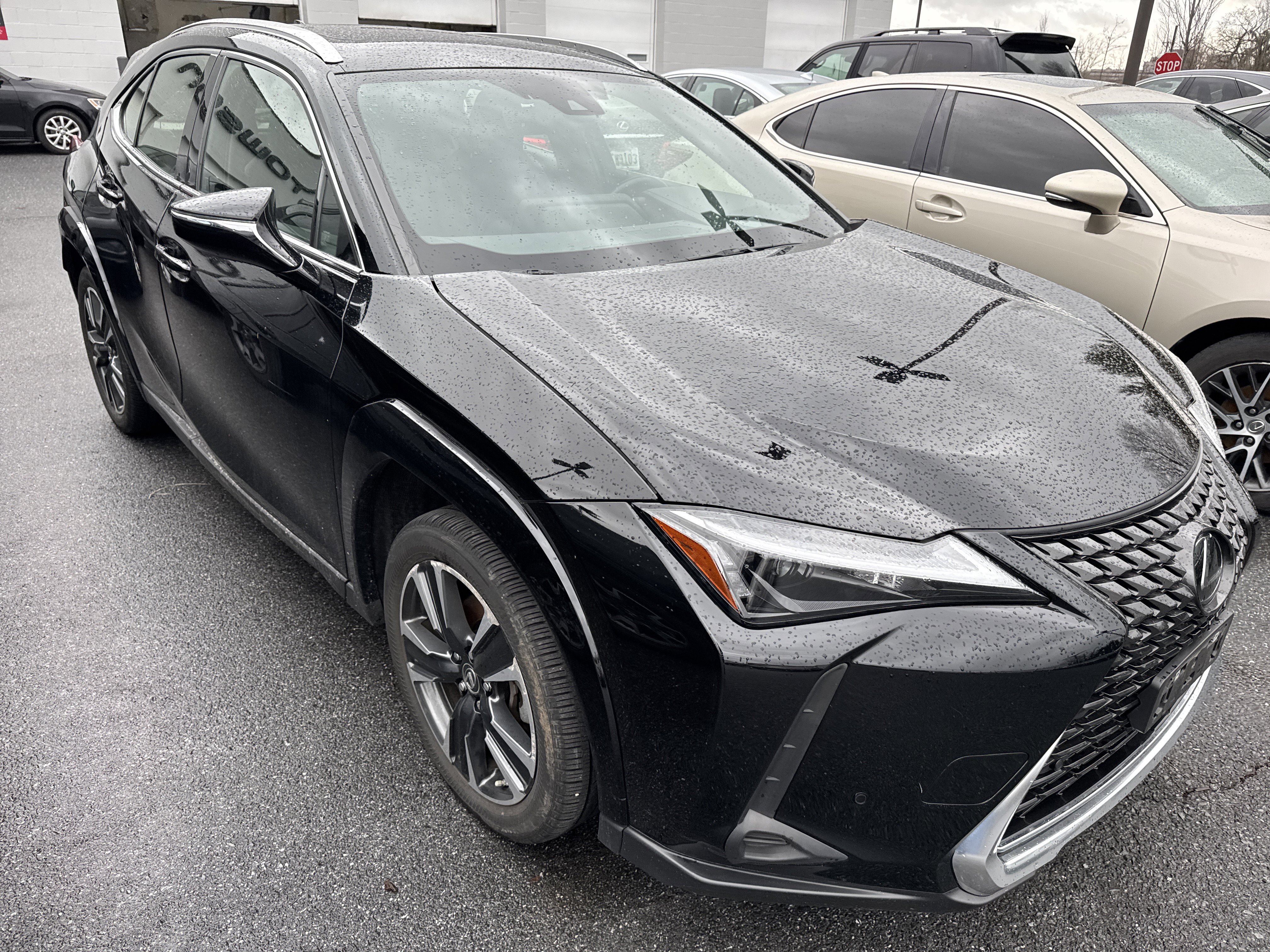 Used 2023 Lexus UX 250h 250h Premium w/ Accessory Package (Z2) image 4
