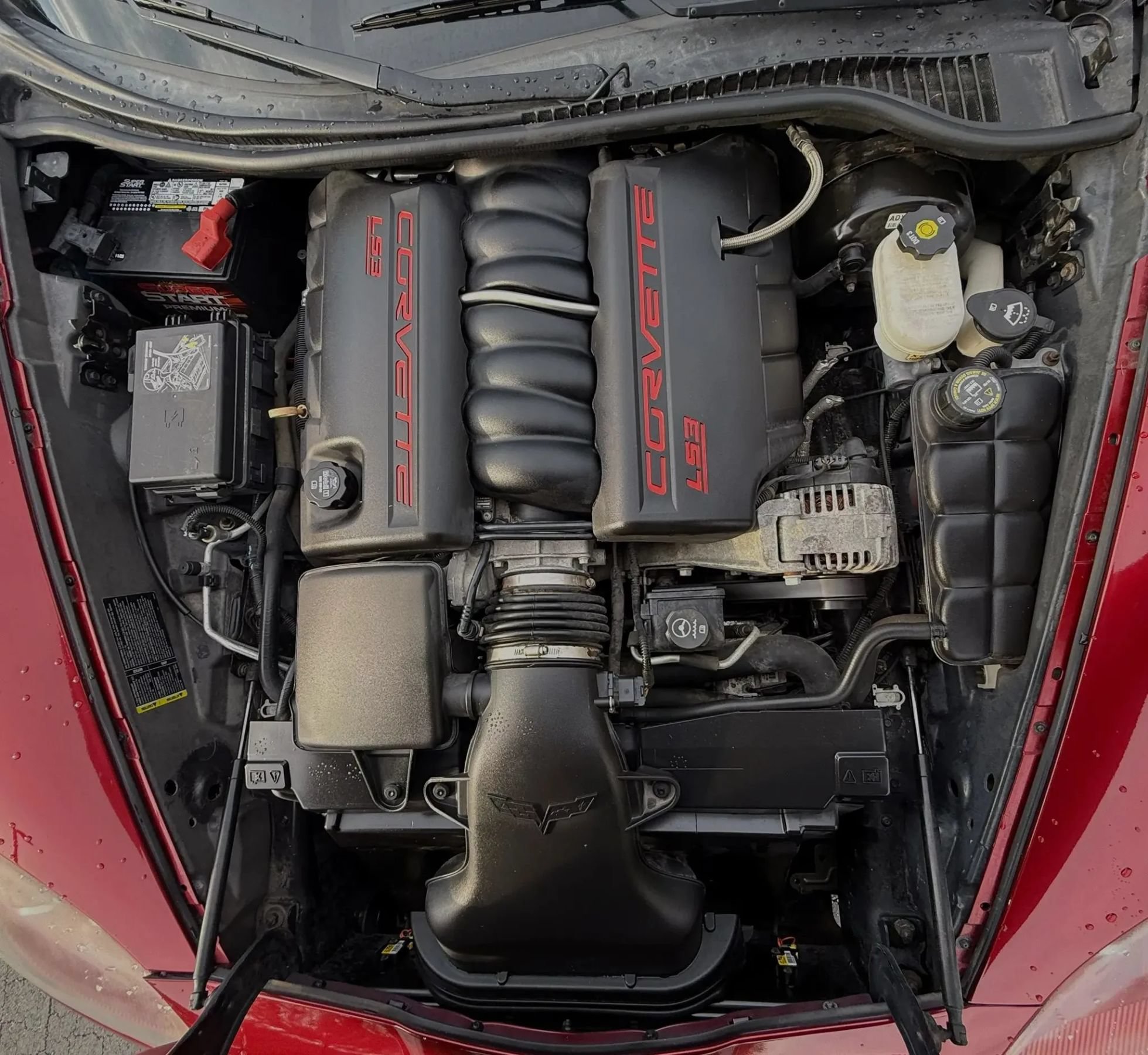 Used 2008 Chevrolet Corvette Convertible w/ Preferred Equipment Group RWD image 12