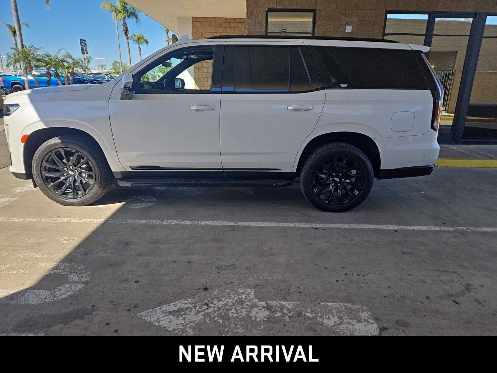 Used 2021 Cadillac Escalade Sport image 6