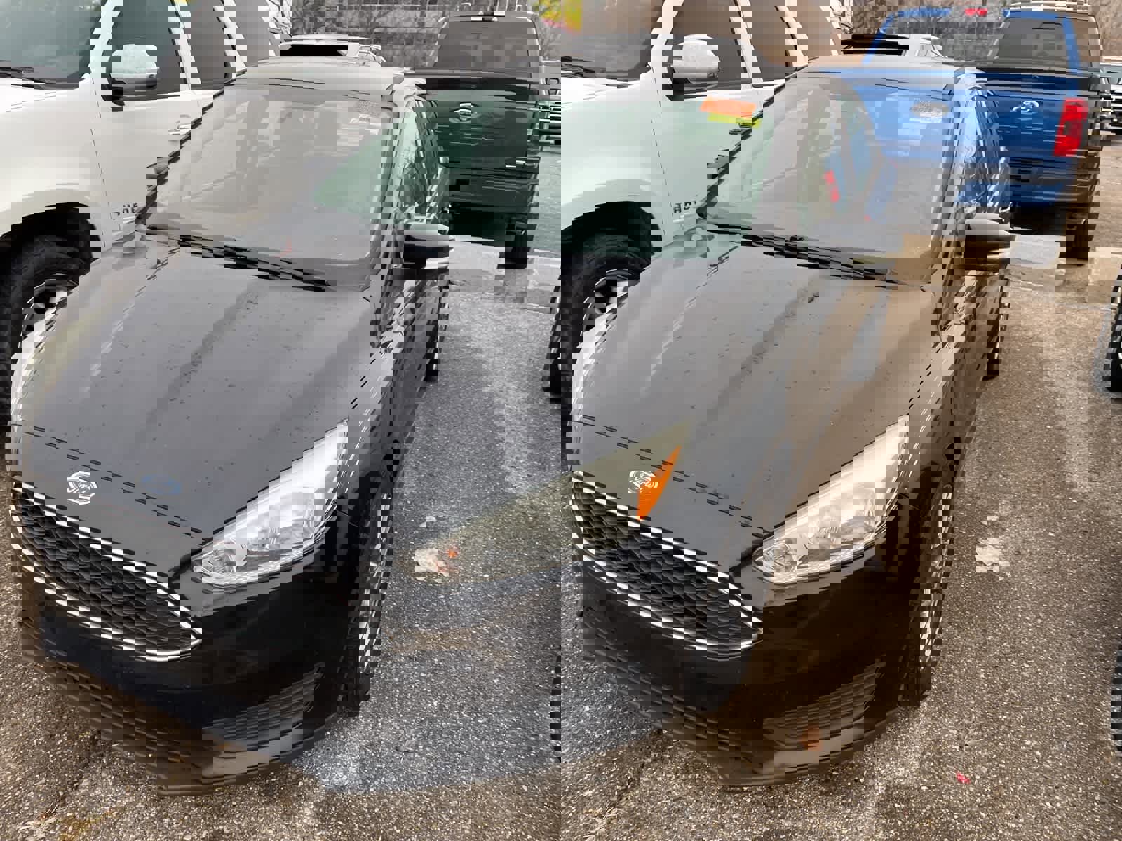 Used 2015 Ford Focus SE image 3