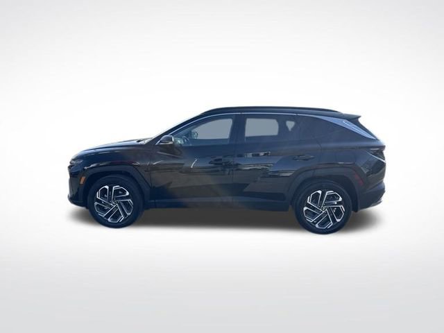 Certified 2025 Hyundai Tucson Limited image 2