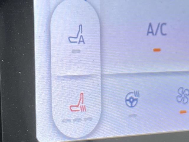 New 2025 Ford F150 Lightning Flash image 18