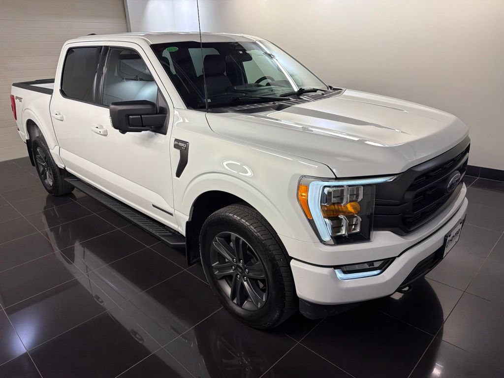 Used 2023 Ford F150 XLT w/ Equipment Group 302A High