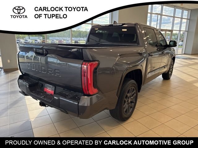 Used 2025 Toyota Tundra Platinum AWD/4WD image 10