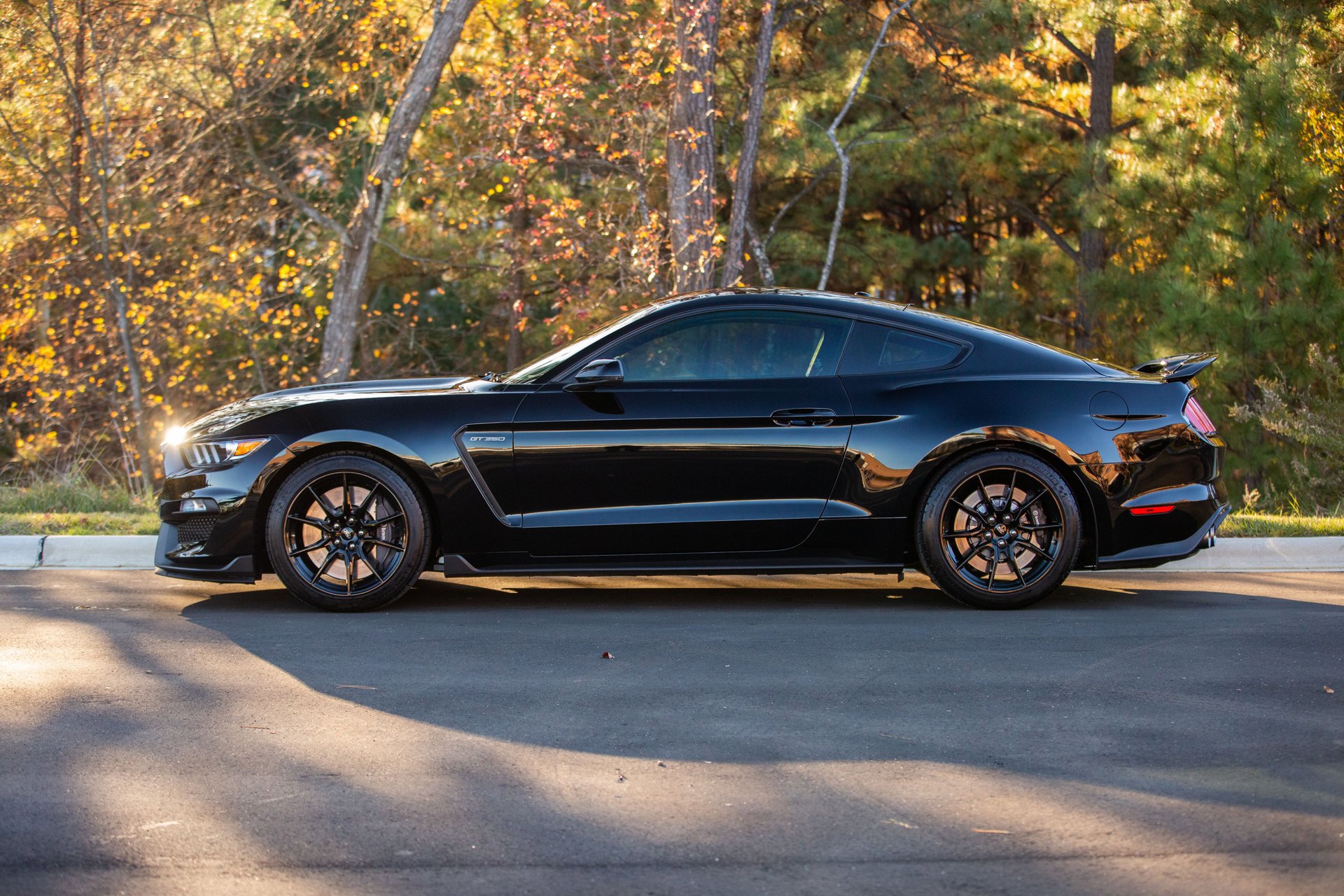 Used 2019 Ford Mustang Shelby GT350 w/ Technology Package image 4