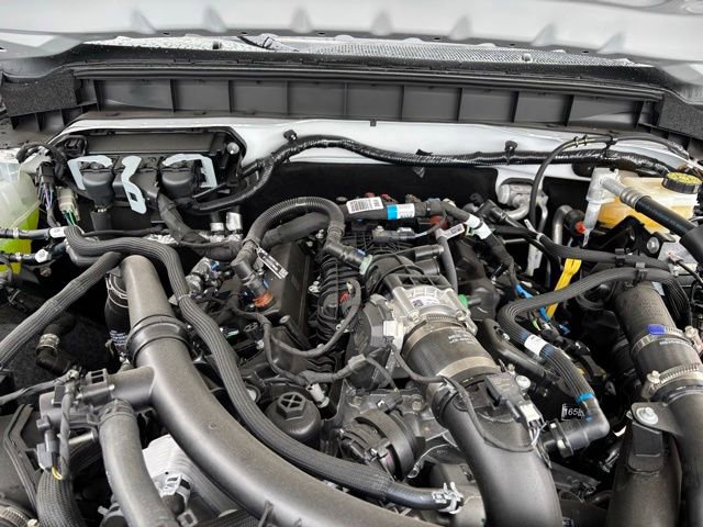 New 2026 Ford Bronco Heritage Edition image 19