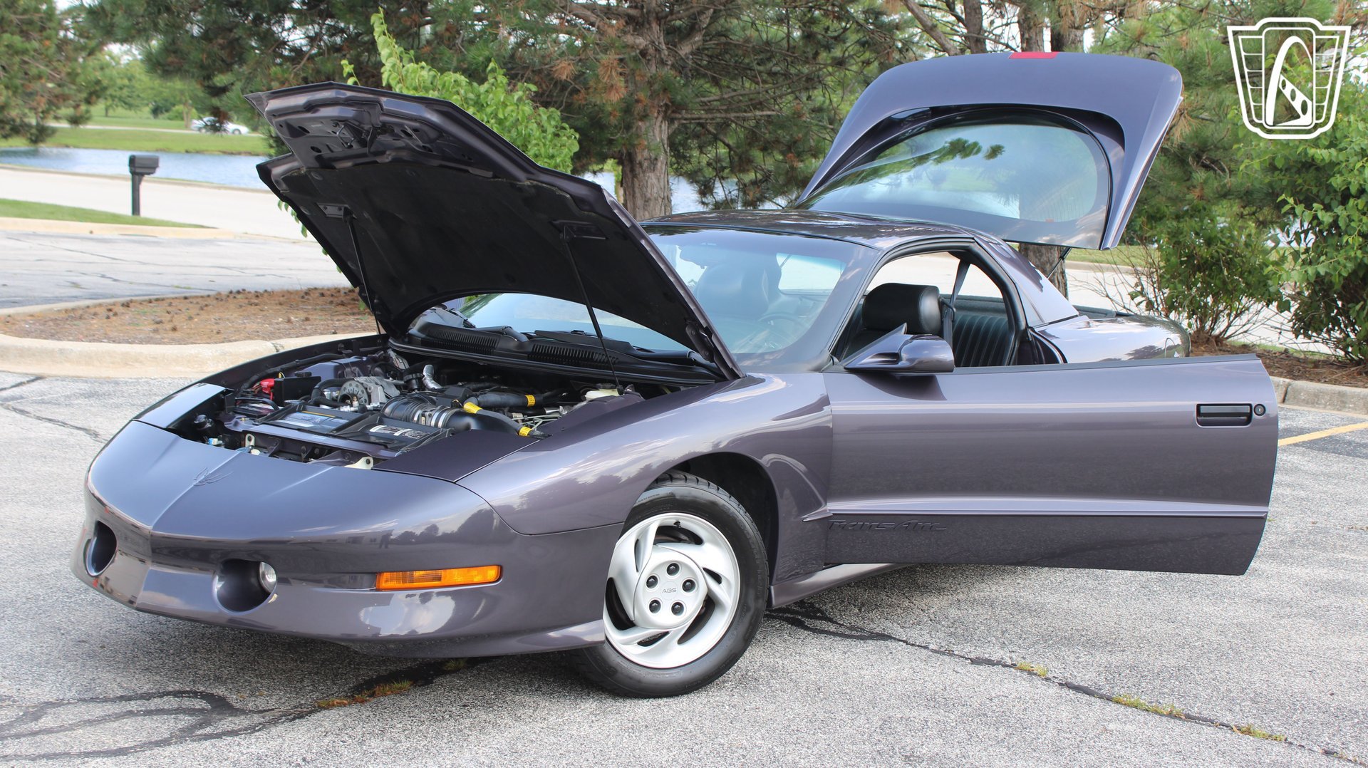 Used 1994 Pontiac Firebird Trans Am RWD image 7
