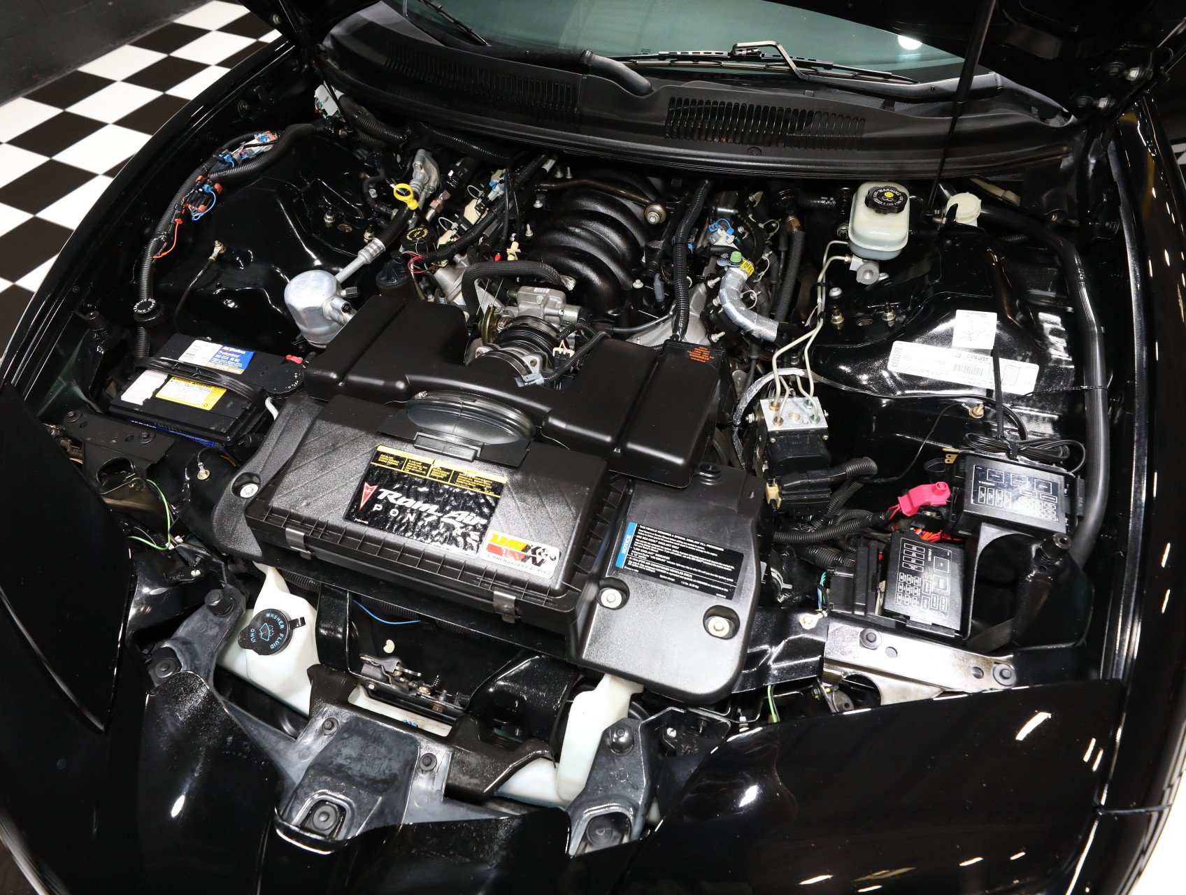 Used 1999 Pontiac Firebird Trans Am RWD image 2