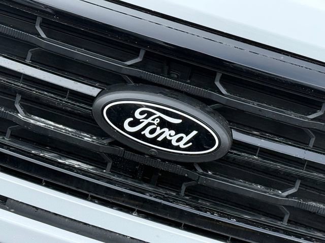 New 2026 Ford F150 XLT w/ Equipment Group 302A MID image 4