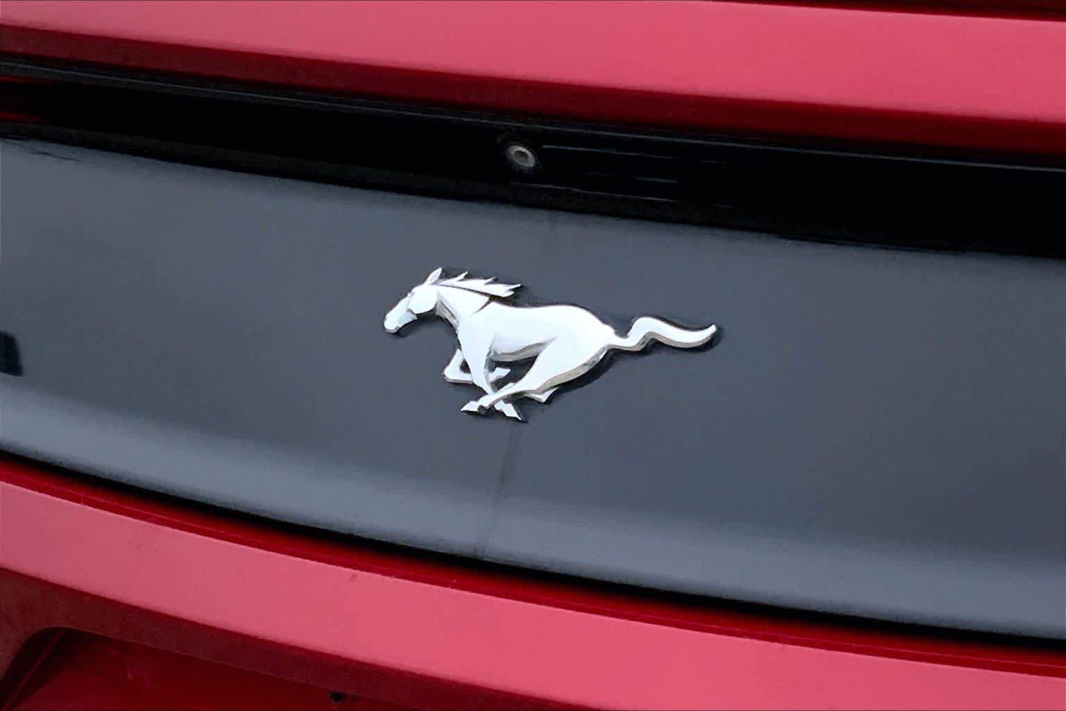 Used 2017 Ford Mustang Coupe RWD image 24