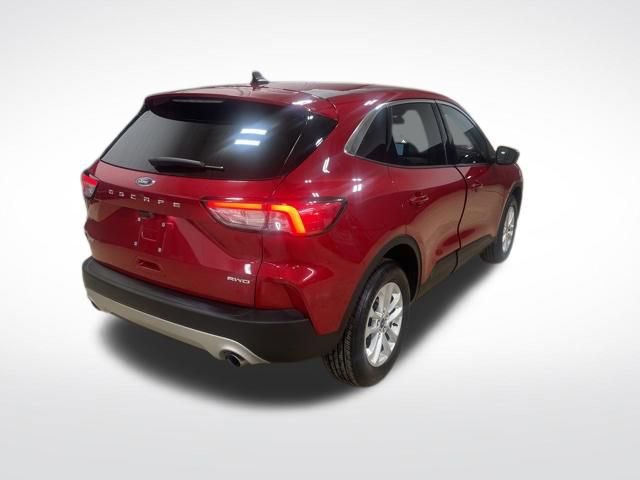 Used 2022 Ford Escape SE w/ Convenience Package image 5