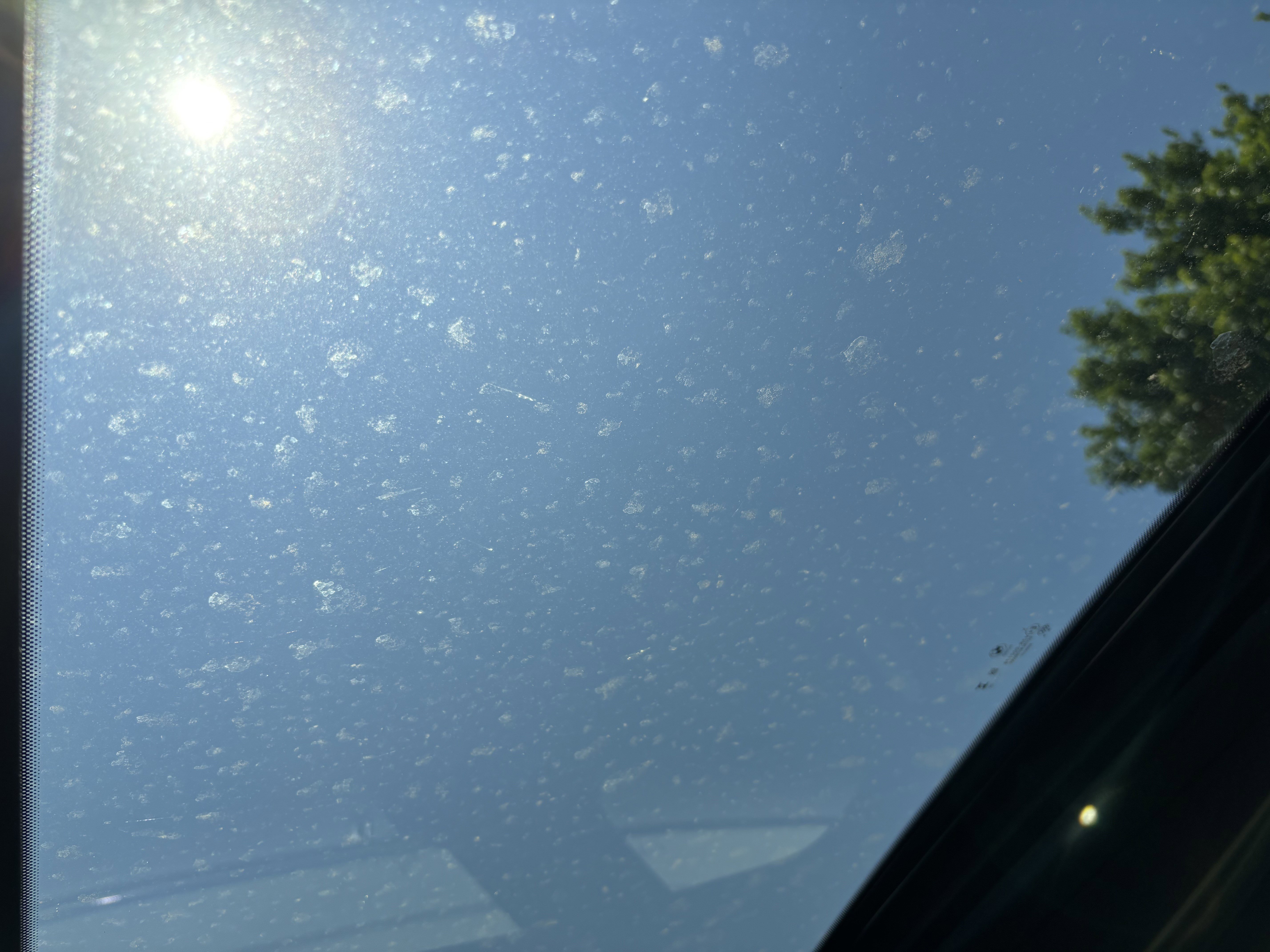 Certified 2025 BMW 230i Coupe w/ M Sport Package image 31