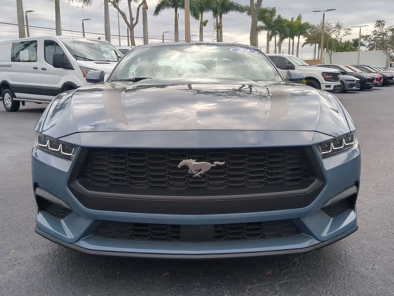 Certified 2024 Ford Mustang EcoBoost image 9