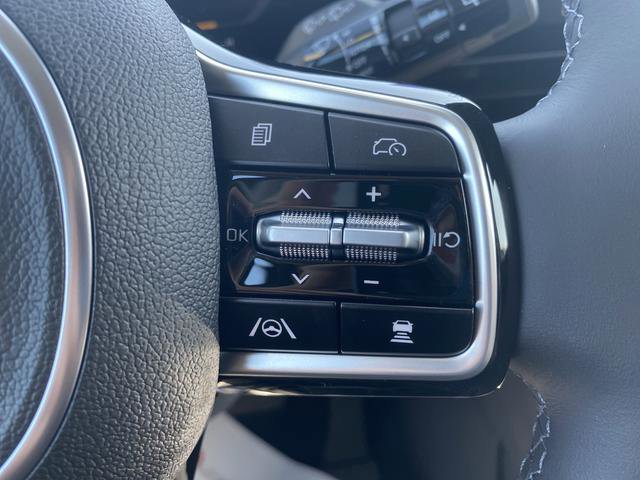 New 2026 Kia Carnival SX Prestige image 33