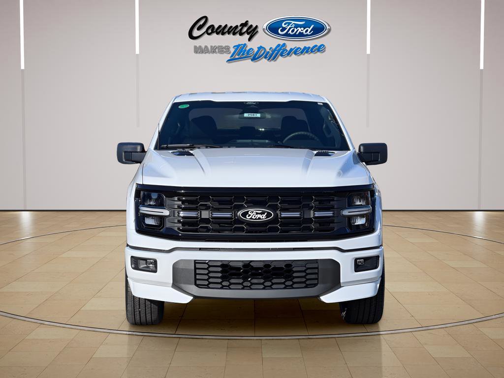 Used 2025 Ford F150 STX w/ LOBO Package image 12