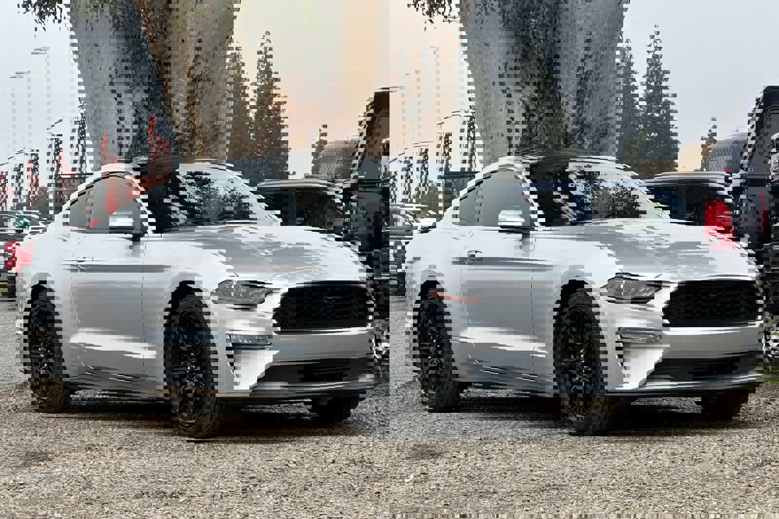 Used 2018 Ford Mustang Coupe w/ Equipment Group 101A image 10