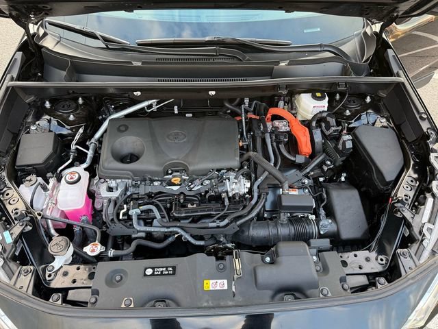 Certified 2025 Toyota RAV4 XLE image 7