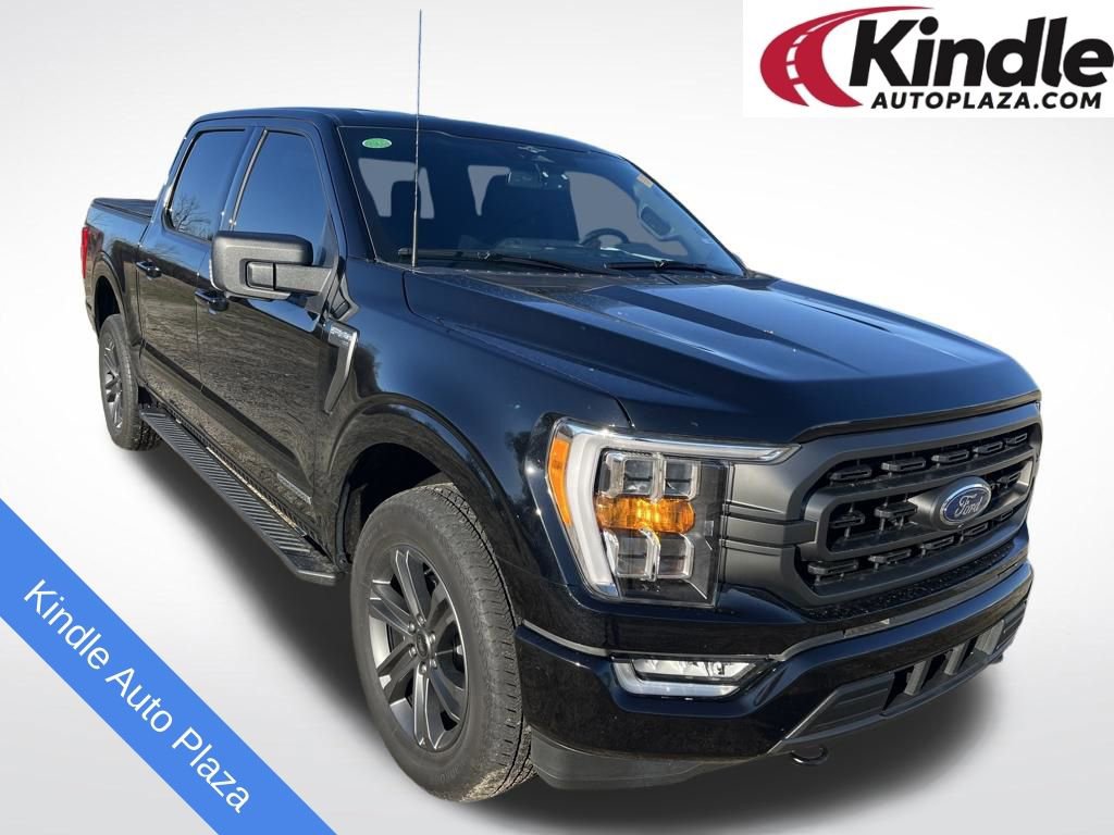 Used 2023 Ford F150 XLT w/ Equipment Group 302A High