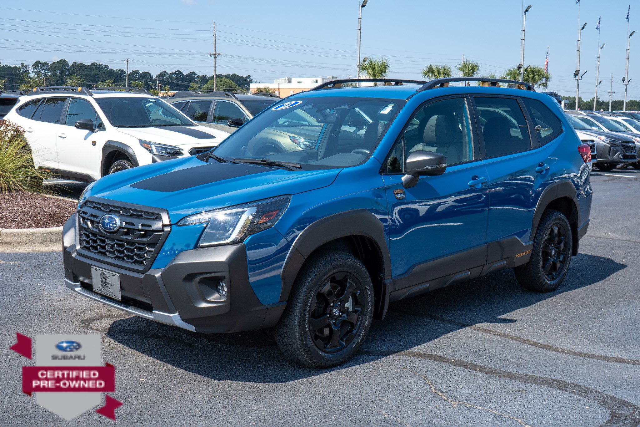 Certified 2022 Subaru Forester Wilderness image 7