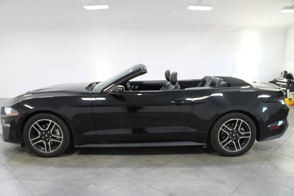 Used 2023 Ford Mustang Premium image 7